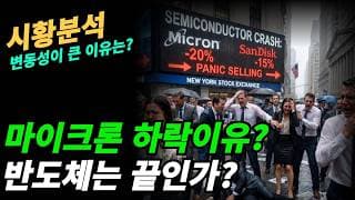 (시황분석) 반도체 변동성이 큰 이유는?