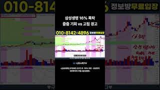 삼성생명 16 폭락 줍줍 기회 vs 고점 경고 #삼성생명