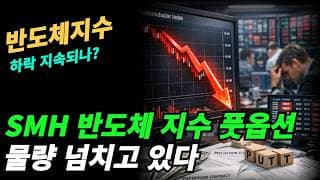(반도체 지수) 단기적으로는 하락,장기적으로는 상승
