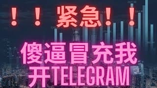 紧急紧急！！有傻逼冒充我骗人！！宇宙唯一韭菜群在description里面！！我没有微信/telegram等别的群！！！