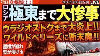 【崩壊確定!!】🔥極東・ウラジオストクまで大惨事!!ワイルドベリーズに断末魔!!【ウクライナ戦況Live】EC大手が炎上中！1600キロの奥地、さらに極東倉庫まで焼失！ロシア全土が火だるまに