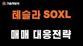 테슬라 SOXL 지금 사야할까? ｜매매 전략 확인하세요