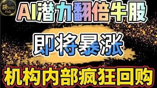美股投资｜AI潜力牛股财报重磅利好.股价持续暴涨公司内部加码回购.翻倍潜力别错过｜美股趋势分析｜美股期权交易｜美股赚钱｜美股2025