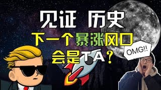 见证历史! 散户暴打华尔街！ wallstreetbets (WSB) GME AMC NOK NAKD 轧空 to the moon! 下一个暴涨风口会是TA么？【CC字幕】｜美股股票｜美股投资入门