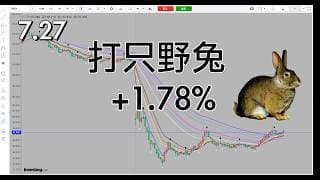 打野兔，快进快出2盈