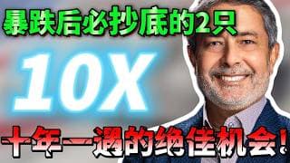 突发！老黄和扎克伯格不惜“倒贴钱”也要抢的底牌曝光？错过美光和闪迪后，这是你 2026 年最后一次改变阶级的上车机会！抄底黄金坑，机会转瞬即逝！SNDK,MU,WDC,P,  NTAP#美股$#抄底