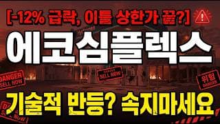 [에코심플렉스 주가 전망] 지금 매수해도 될까? #에코심플렉스