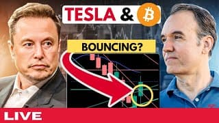 Is Tesla stock bouncing finally?