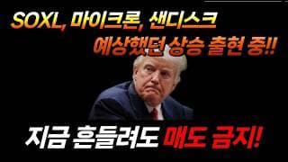 흔들려도 매도 금지입니다. (구글 알파벳, 테슬라, 마이크론, 샌디스크, SOXX, SOXL, 아이온큐, 팔란티어, 로켓랩)