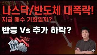 나스닥 반도체 역대급 폭락... 패닉셀 하기 전에 무조건 봐야 할 영상