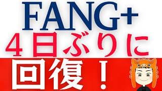 【エヌビディア神決算】FANG+も上昇！イラン戦争も最終段階！？