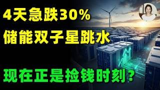 4天急跌30%背后，储能龙头却在疯狂扩张订单？6月美股最硬核的AI能源大逆袭才刚开始，看懂少走10年弯路！FLNC,EOSE#美股 #投資 #trading #储能 #ai #能源