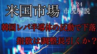 6/24【米国市場】韓国半導体レバの反動で下落！指数の調整は長引く？