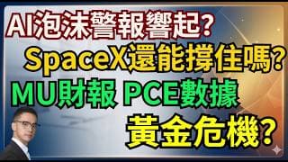 AI崩盤？SpaceX上演驚天大逆轉！美聯儲加息核彈本週引爆？美光財報/PCE數據大拆解！週三MU財報，週四 PCE 見分曉，策略已發 Patreon！ #期權 #美股 #美股交流群