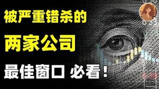 美股疯涨！但我重点关注这 2 只被严重错杀的超级公司！基本面无敌，还在地板价没人要，最佳窗口 抓紧布局！GE,MCD,TSLA,MSFT,META,NVDA,AMD,RKLB,AAOI,MU,SNDK