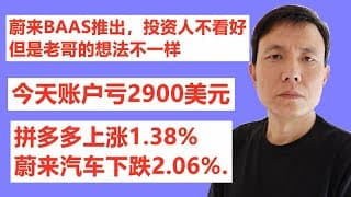 蔚来BAAS推出，投资人不看好,但是老哥的想法不一样;今天账户亏2900美元;拼多多上涨1.38%,蔚来汽车下跌2.06%.