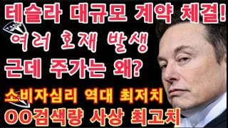 TESLA 여러 호재들! 그런데 $TSLA 주가는 왜 그런가? / 테슬라 운명의 갈림길 / 인플레 재폭발! / 테슬라 대규모 수주 / FSD 네덜란드 승인 / Tesla 투자