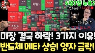 미국주식시황/샌디스크 메타 급등! 브로드컴 CRWD 어닝! 양자 우주 SW 급락! 테슬라 엔비디아 구글 애플 아마존 아이온큐 삼성전자 마이크론 테크놀로지 브로드컴 인텔 AMD