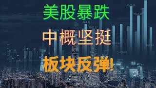 【美股投资】礼拜一的暴跌如预期，礼拜一的板块反弹，真蛋疼。韭菜日记2022年8月22 #investing  #nasdaq