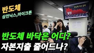 (반도체) 정말 자본지출 줄어서 매모리 업체 폭락하나?