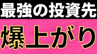 【爆益】まだまだ米国株の時代！500万円一括購入！
