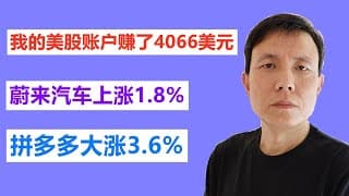 我的美股账户赚了4066美元，拼多多PDD上涨3.6%,蔚来汽车NIO上涨1.8%