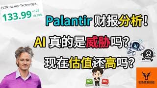 Palantir财报分析! AI真的是威胁吗? 现在的估值还高吗?【美股分析】