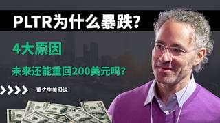 【美股】PLTR为什么暴跌？不是基本面变差，而是这4大原因，未来还能重回200美元吗？#美股 #美股分析 #董先生美股说 #pltr #大数据 #决策 #国防 #美股复盘 #ai概念股 #人工智能