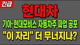 [현대차 주가 전망] (긴급) 기아·현대모비스 자동차주 파업 공포에 신저가 추락! "이 자리" 지금 던져야 하나?