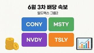 ABNY/DISO 상장폐지 & 인텔 INYY 신규 출시 안내 및 CONY MSTY NVDY PLTY TSLY 6월 3th 배당 속보