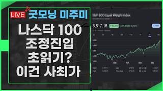 [굿모닝 미주미]   속수무책 반도체 vs 이틀째 사상최고가 랠리 기록중인 지수도 있다  #미주미 #이항영