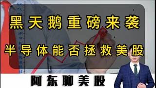 黑天鹅重创美股！半导体板块能否拯救美股！下一步操作计划提前公布！#美股#中东局势#存储芯片#半导体#SNDK#DELL#美股操作策略#今日股票推荐#股票#投资#