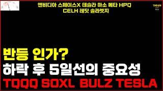 반등 인가? 하락 후 5일선의 중요성 TQQQ SOXL  BULZ TESLA 엔비디아 스페이스X 테슬라 마소 메타 HPQ  CELH 레딧 솔라엣지