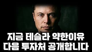 지금 테슬라가 약한이유?! 저의 다음 투자처 공개합니다!