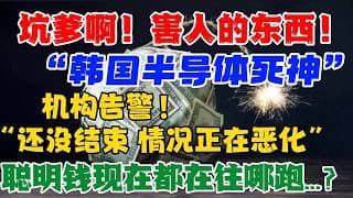 坑爹啊！害人的东西！“韩国半导体死神”机构告警！“还没结束，情况正在恶化！”聪明钱现在都在往哪跑...？