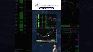 Bull Flag