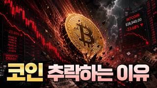 코인 추락하는 이유
