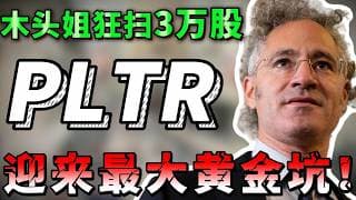 木头姐逆势扫货千万筹码！单季营收暴涨 85% ，股价却腰斩！深度推演PLTR百元关口到底是硬核黄金坑，还是高估值陷阱！必看！PLTR,NVDA,CRM,MSFT #美股 #投资#trading