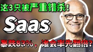 软件股已死？你正在错过 2026 年最大的财富二次跃迁！估值暴跌83%后，Adobe、Salesforce、Workday 谁会成为下一个翻倍黑马？ADBE，CRM，WDAY#美股 #微软