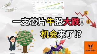 一支半导体牛股大跌! 机会来了!?【美股分析】
