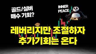 미국주식 레버리지 투자 당분간 조절하세요 (골드 엔비디아 마소 GEV 넷플릭스 IBM 아이온큐 환율 분석)