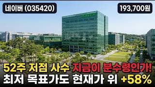 [네이버] 30만서 -35% 급락, 19만 바닥인가 - 스테이블코인 되돌림 #네이버