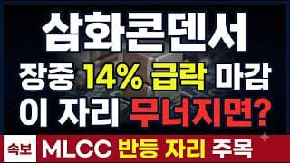 [삼화콘덴서 종목 주가 전망] 동일업종 +0.82%인데 홀로 -16.88% 대폭락, 자체 리스크 무엇인가 #삼화콘덴서 #MLCC #투자경고