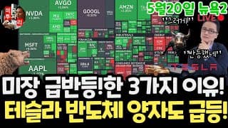 미국주식시황/엔비디아 어닝 라이브 분석! 오픈AI 상장? 테슬라 구글 애플 아마존 메타 마소 아이온큐 삼성전자MU 브로드컴 인텔 AMD 코어위브 네비우스 샌디스크 루멘텀 스페이스X