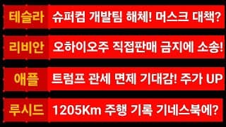 [News] 테슬라 (Tesla) 리비안 (Rivian) 애플 (Apple) 루시드 (Lucid)
