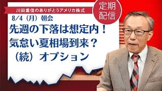 先週の下落は想定内！気怠い夏相場到来？（続）オプション【アメリカ株】