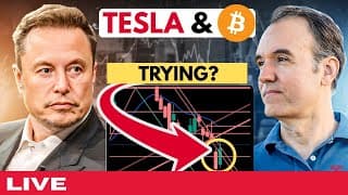 Tesla is fighting back