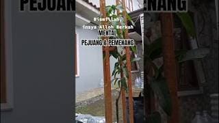 MOTIVASI SUKSES HARI INI