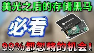 美光之后，AI存储新王来了？市值仅SNDK的1/29！即将迎来重估时刻，99%的人都忽略的机会，必看！SIMO,MU,SNDK,WDC,STX #trading #投資 #美股