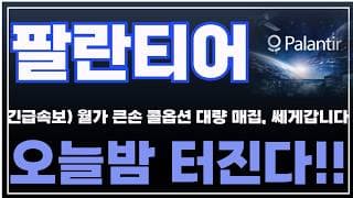 [팔란티어 주가분석] 긴급속보) 월가 큰손 콜옵션 대량 매집, 쎄게갑니다! 오늘밤 터진다!! #팔란티어 #팔란티어주식